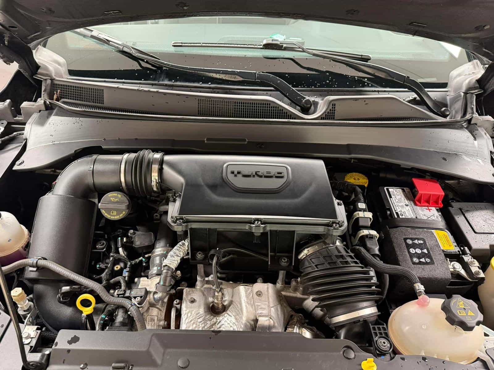 Image 11 Jeep Compass Trailhawk Trailhawk 2024