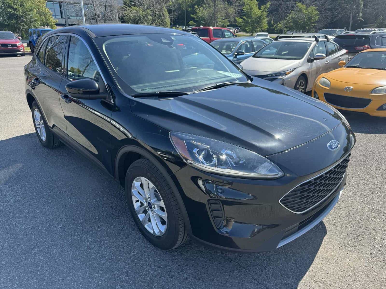 Image 5 Ford ESCAPE SE SE 2020