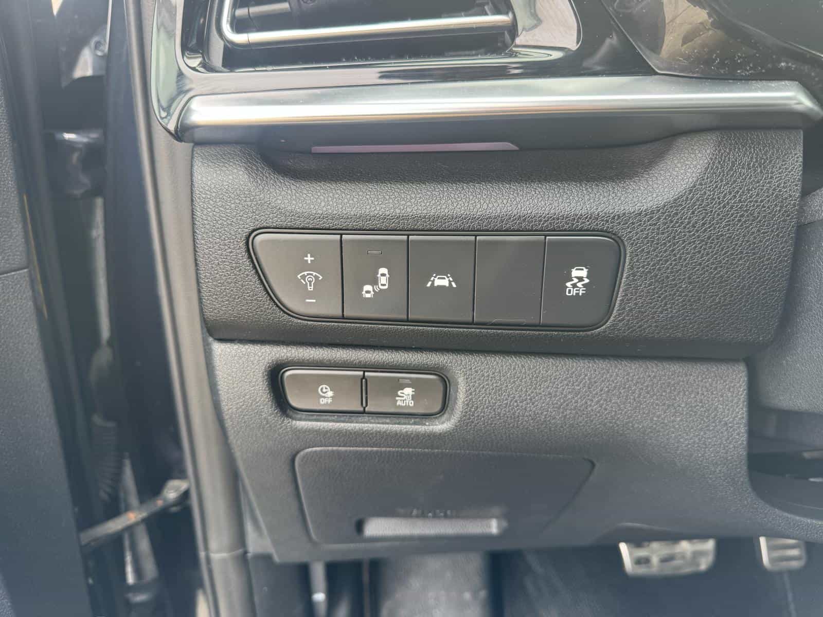 Image 9 Kia Niro EV SX Touring 2020