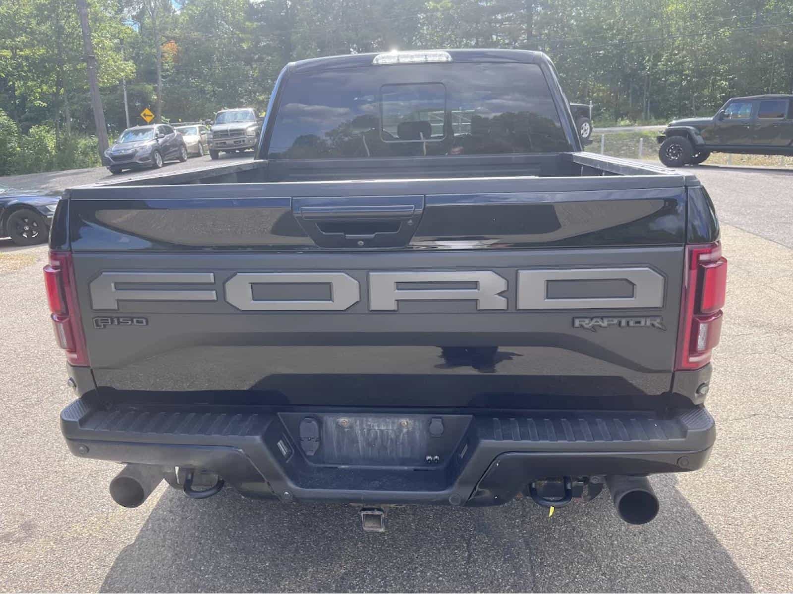 2019 Ford F150 Raptor - Image 11