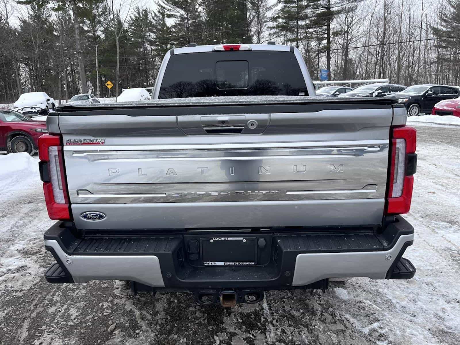 Image 9 Ford F250 S/D Platinum 2024