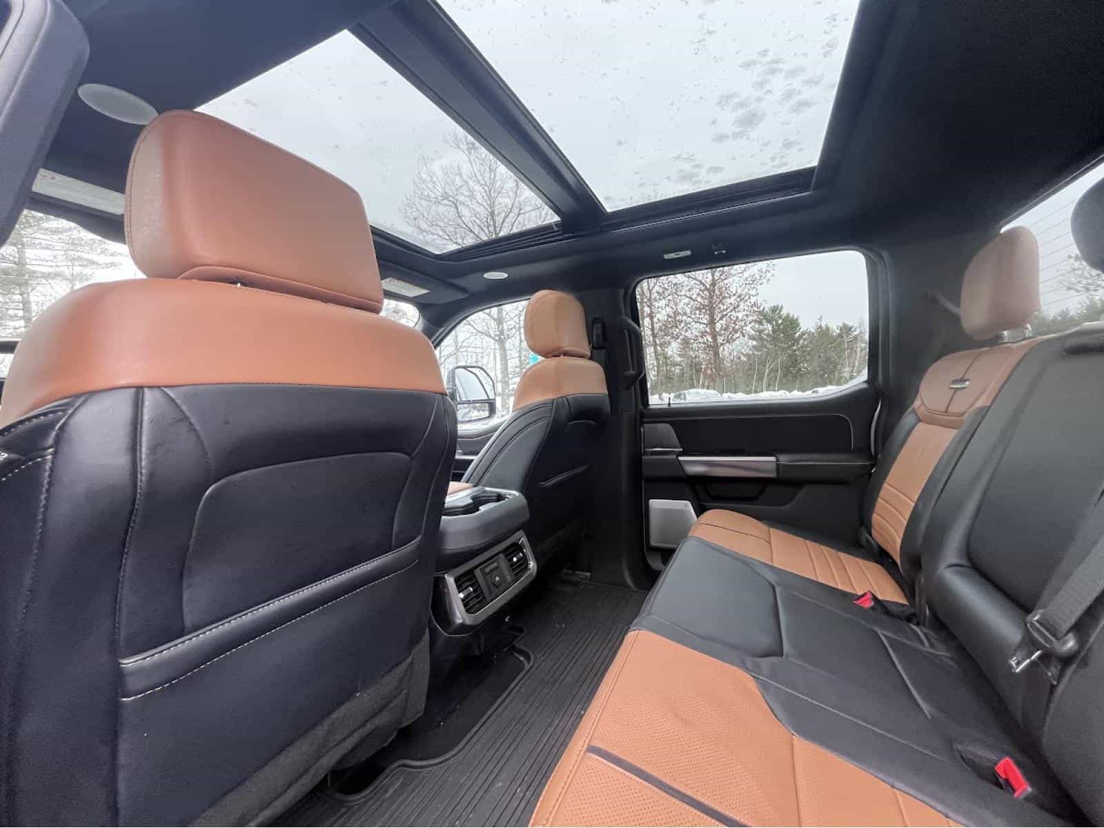 Image 18 Ford F250 S/D Platinum 2024