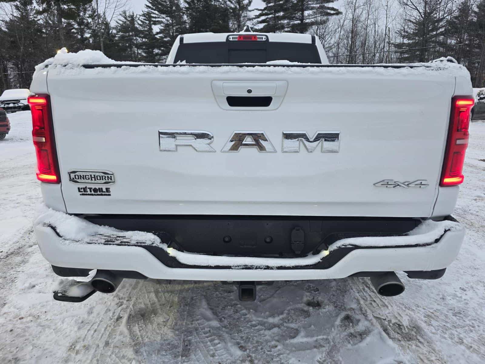 2025 RAM 1500 Limited Longhorn - Image 6