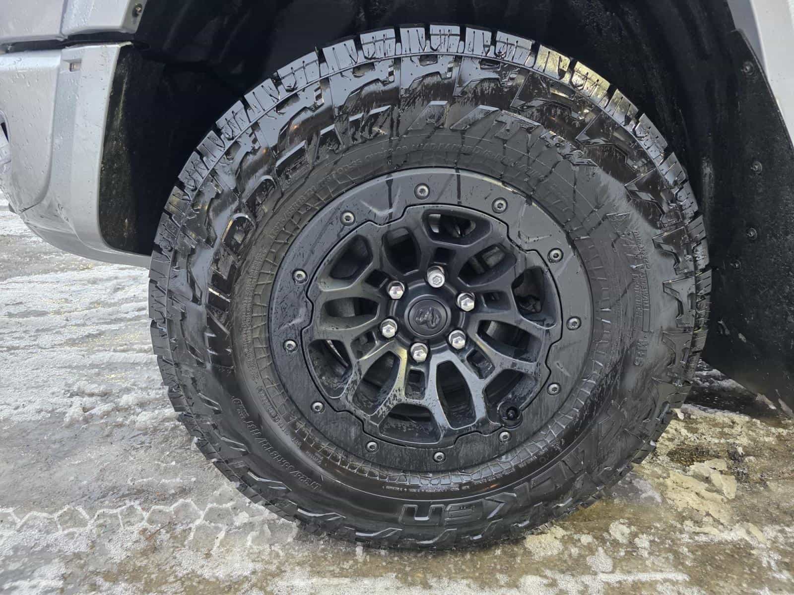 Image 11 RAM 1500 RHO 2025