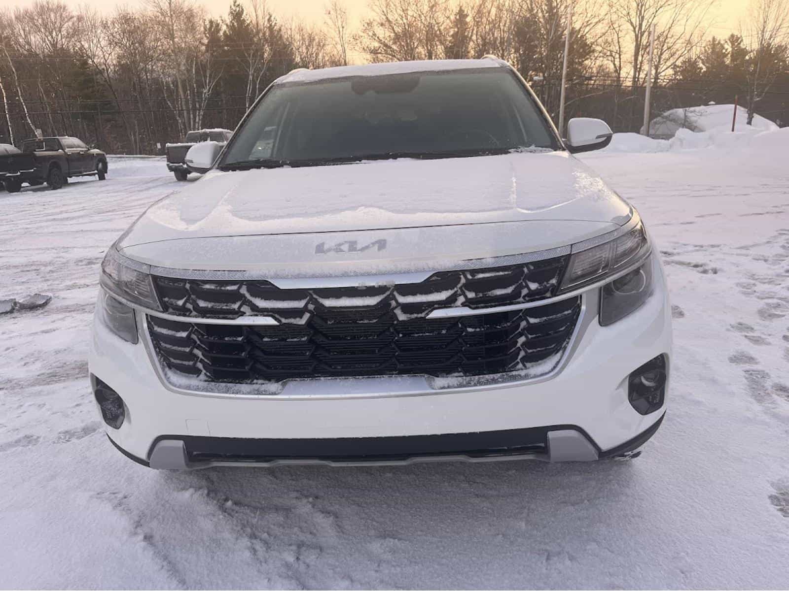 Image 14 Kia Seltos LX 2024