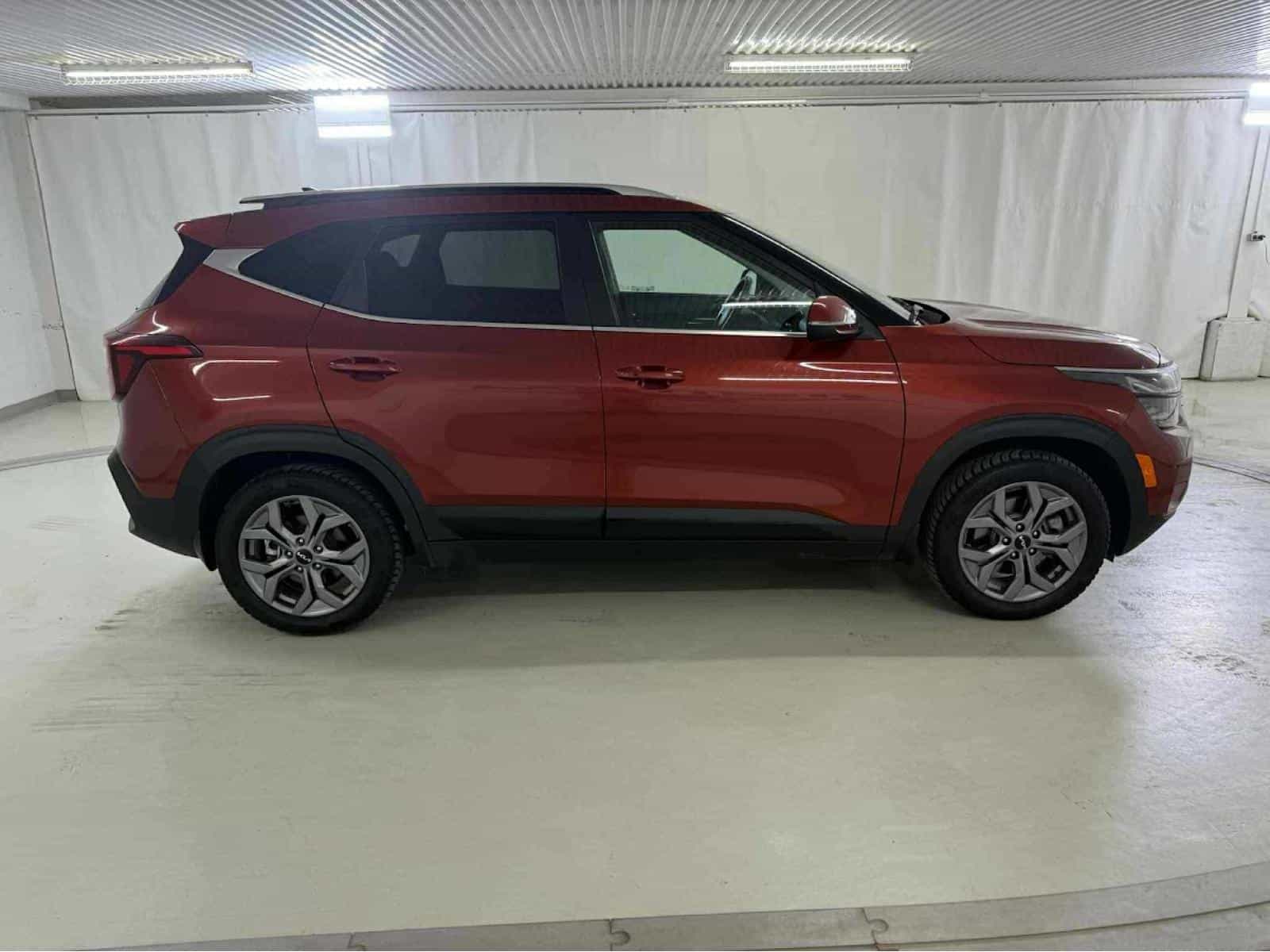 Image 5 Kia Seltos EX 2025