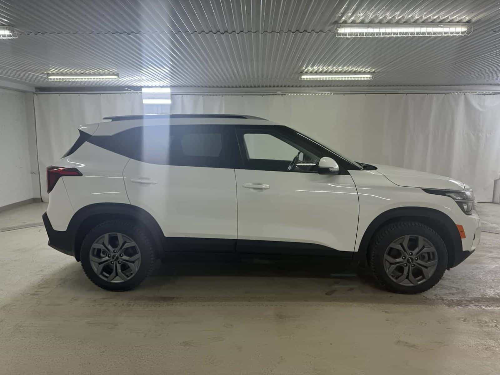 Image 7 Kia Seltos LX 2024